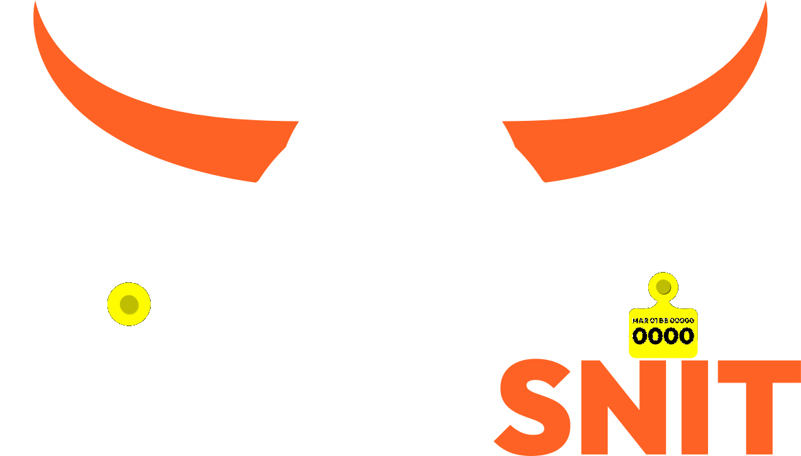 AGENT SNIT
